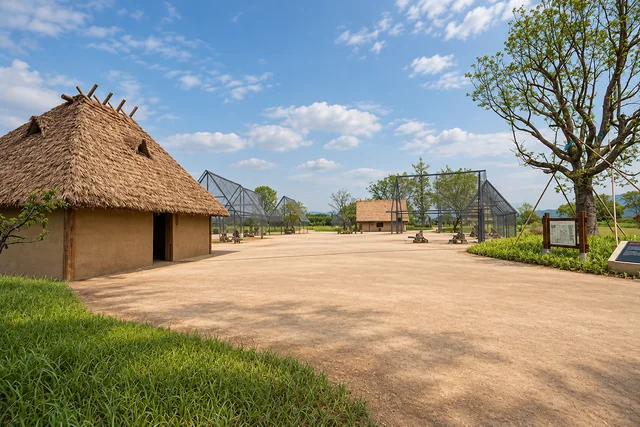 Liangzhu Archaeological Site Park